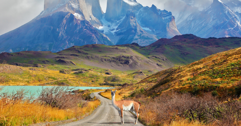 Excursão a pé do Parque Nacional Torres del Paine às Torres Paine