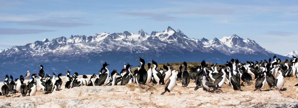 onde fica a península Valdéz? Um lugar fantástico na Patagônia