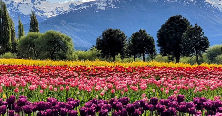 Patagônia Argentina